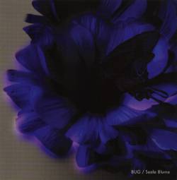 Bug (JAP) : Seele Blume